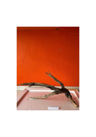 Red Welt Wood No:60018 45x13x28h