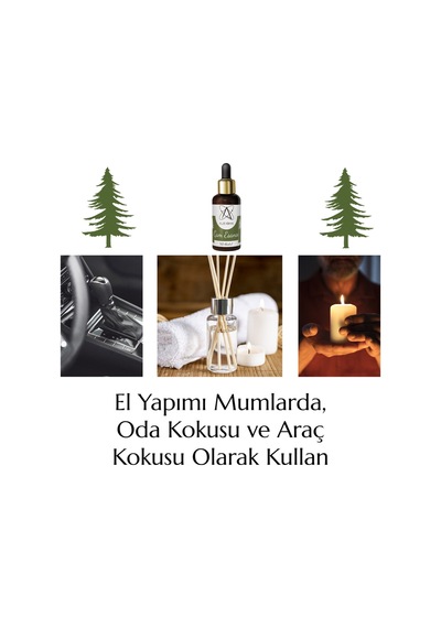 Alze Kimya Çam Esansı 10 ML
