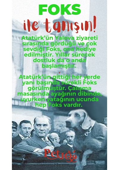 Petjoo 29.Foks Kırmızı-Yeşil Qr'lı Köpek Künyesi