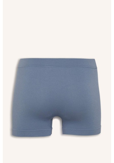 Defacto Fitilli Elastik Bel Açık Mavi Seamless Boxer I0628ax26hsbe746 Mavi-be746