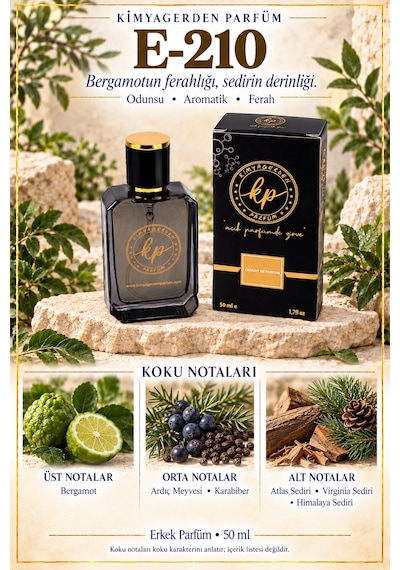 KP E-210 Erkek Parfüm EDP 50 ML