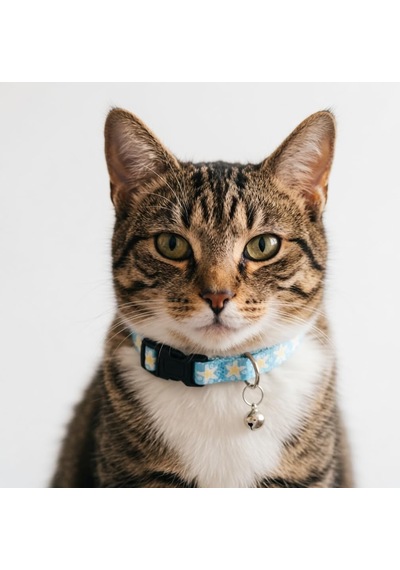 Tatucha Galaxy Harmony Kedi Boyun Tasması, Özel Koleksiyon, Lacivert Açık Mavi