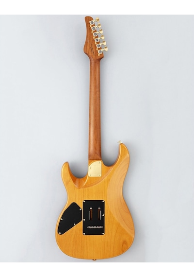 Fujigen Odyssey Elektro Gitar Eos2duew2rm/vnt