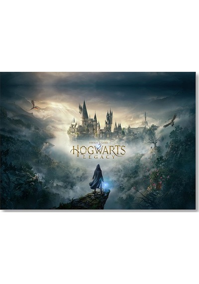 Cakasepetim 2021 Harry Potter Oyunu Görseli Ahşap Mdf Tablo