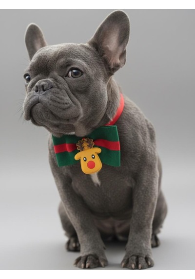 Royal Rudolph Premium Yılbaşı Köpek Papyonu Limited Edition Luxe Aksesuar Orta & Büyük Irklar İçin