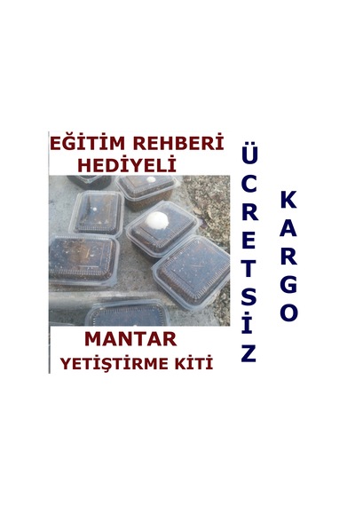 4 Adet KüLür Mantarı Yetiştiriciliği Deneme Kiti