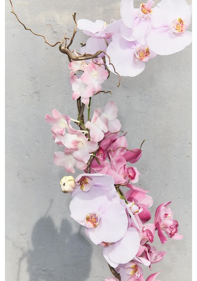 Zara Ochıd Bloom Eau De Parfum 50 Ml Meyveli