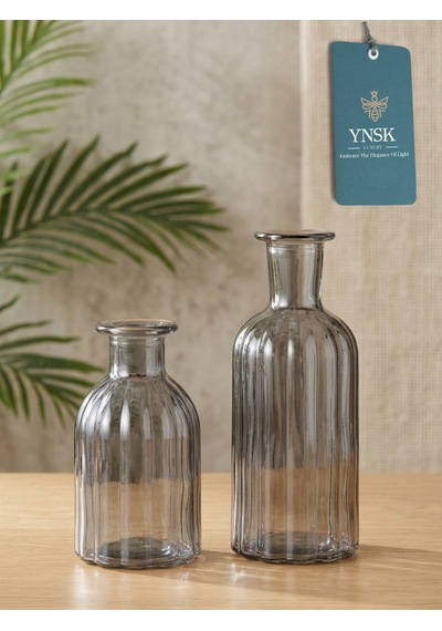 2 Li Cam Vazo Seti Minimalist Dekoratif Modern Nordic Çiçeklik Masa Üstü Vazo Füme