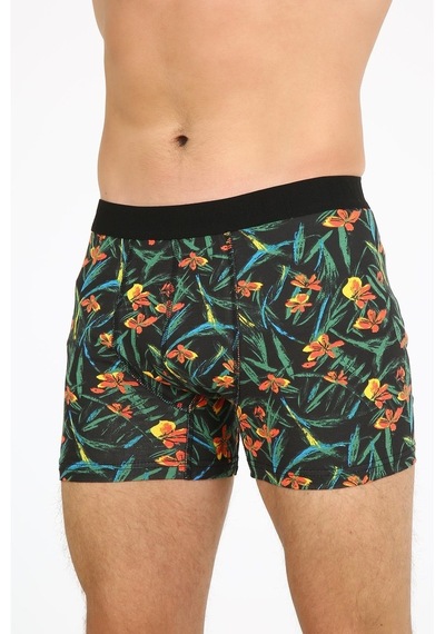 Five Pocket Fpb8001 Desenli Erkek Boxer (516184780)