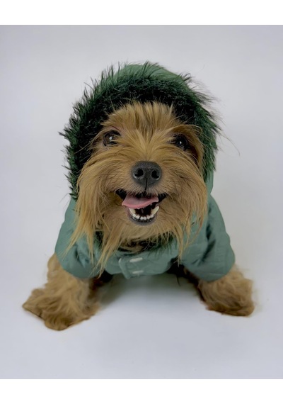 Kemique Green Comfy Köpek Montu Ceketi Köpek Dış Giyim