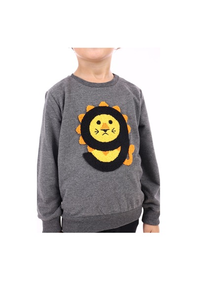 Toontoy Kids Toontoy Erkek Çocuk Eşofman Takım 9 Aslan Nakışlı Antrasit Melanj
