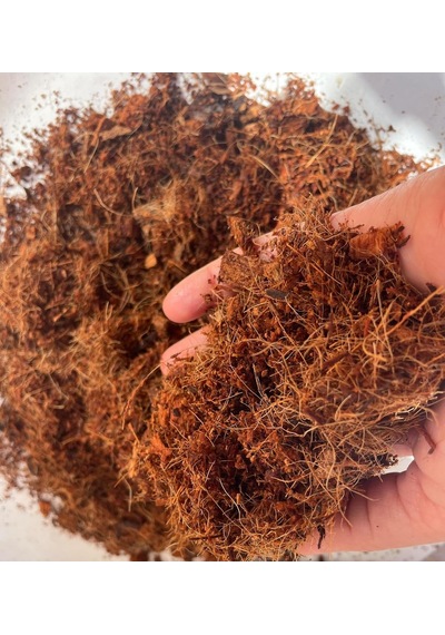Plot Cocopeat/hindistan Cevizi Torfu /%100 Doğal Torf 5 Lt - 9 Lt 9 Lt 0,250