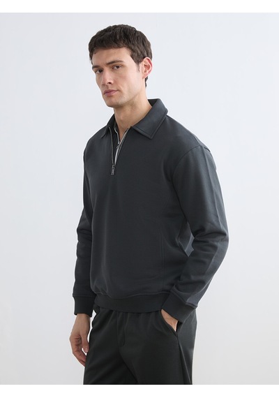 Lcw Vision Antrasit Fermuar Kapamalı Polo Yaka Erkek Sweatshirt