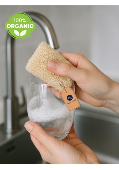 3 Lü Doğal Kabak Lifi Bulaşık Süngeri Bitkisel, Çevre Dostu, Plastik İçermez, Uzun Ömürlü