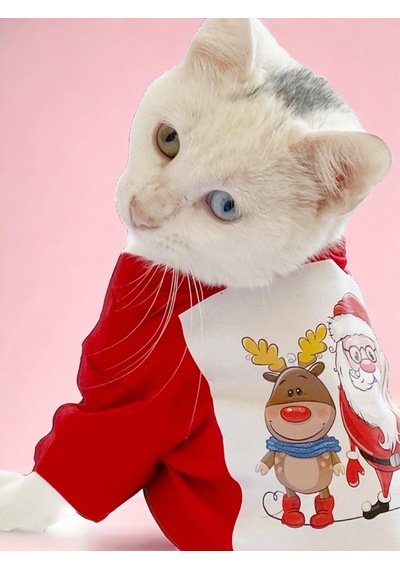 Kemique Santa And Friend Rudolph Kedi Tişörtü Yılbaşı Noel Christmas Kedi Elbisesi