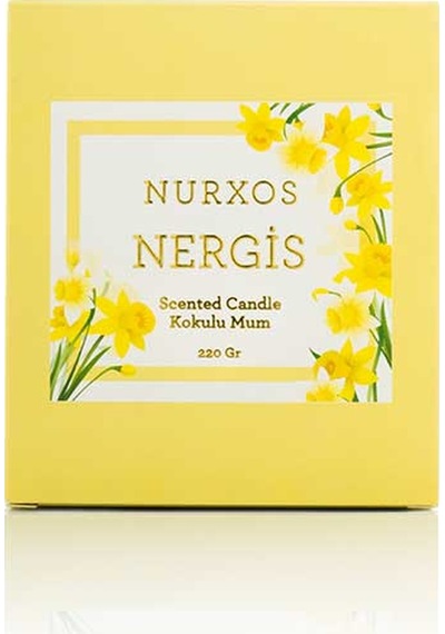 Nurxos Nergis Kokulu Mumlar 220G 9653