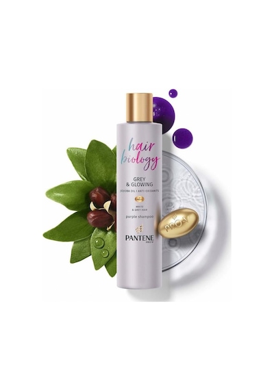 Pantene Hair Biology Turunculaşma Karşıtı Silver - Mor Şampuan 250 ML