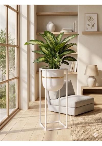 Bitkidunyam Mat Metal Kare Ayaklı Saksı, Altın Detaylı Kenar, Silindirik, Modern Tasarım, 50x21 Cm No:5 Beyaz