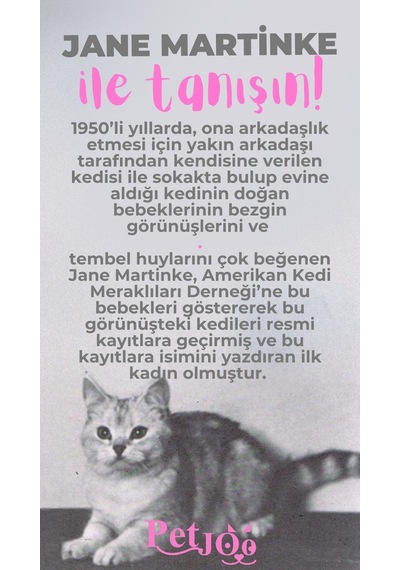 Petjoo 5.Jane Martinke Pembe-Gri Qr'lı Kedi Künyesi