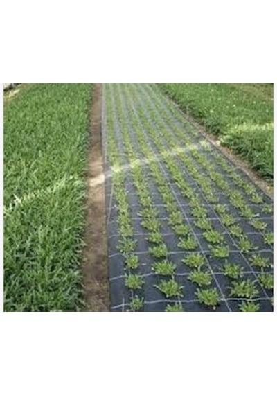 Nzl File Ambalaj Sera Taban Örtüsü – Jüt Taban Örtüsü – Siyah – 90 gram Nzl File Ambalaj Sera Taban Örtüsü – Jüt Taban Örtüsü – Siyah – 90 gram