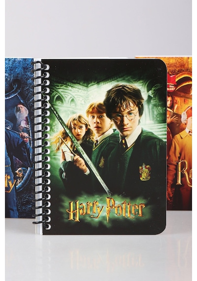 Dekomus İle Lisanslı Harry Potter Spırallı A6 Çizgili Not Defteri / Bloknot Altın