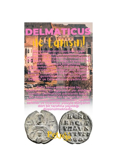 Petjoo 28.Delmaticus Sarı-Pembe Qr'lı Köpek Künyesi