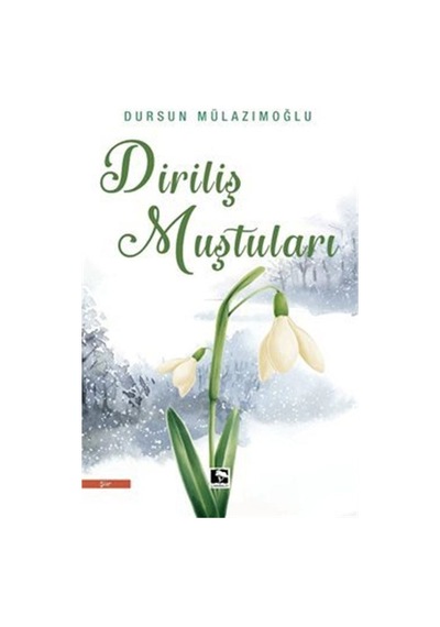 Diriliş Muştuları - Dursun Mülazımoğlu - Çınaraltı Yayınları