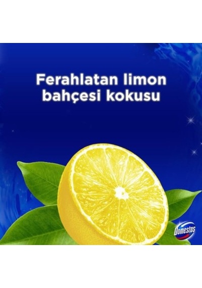 Yoğun Parfümlü Limon Bahçesi İle Wc Blok Ürünü