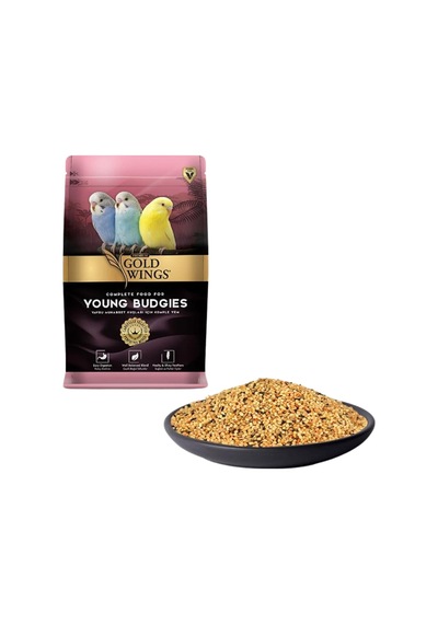Gold Wings Premium Yavru Muhabbet Yemi 1 Kg