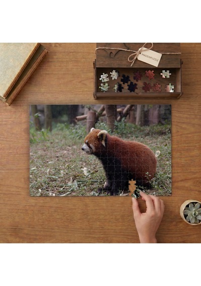 Nadir Kızıl Panda Tasarımı 240 Parça Ahşap Puzzle Ahşap Kutuda Mpy60057