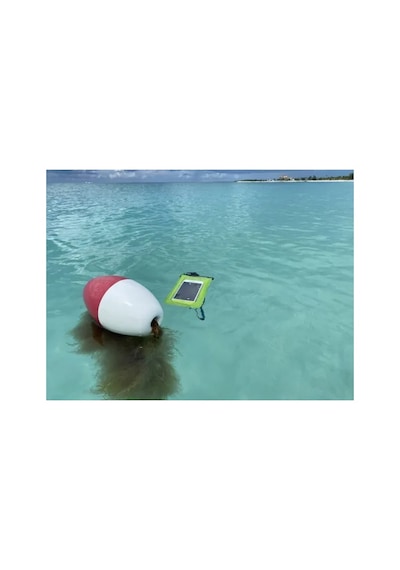 River World Telefon Kılıfı Su Geçirmez Batmaz Çok Renkli