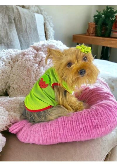 Kemique Pink Strawberry Atlet Köpek Kıyafeti Köpek Elbisesi Kemique Pink Strawberry Atlet Köpek Kıyafeti Köpek Elbisesi