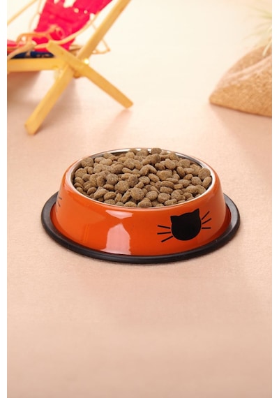 Paslanmaz Çelik Kedi Köpek Mama ve Su Kabı 180 ML Cin570tr
