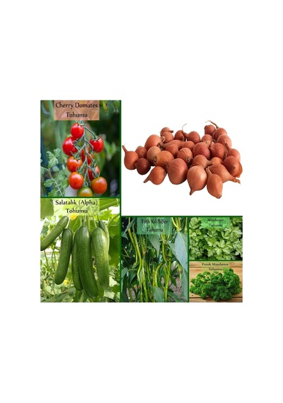 6'li No7 Çeri Domates Salatalık Tohumu Frenk Maydanoz Tohumu 1 Kg Kıska Soğan Tohumu Iska