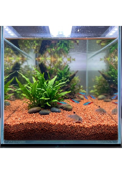 Kanki Pet Kırmızı Kuvars Akvaryum Kumu 2-3 Mm 1 Kg - Doğal Ve Estetik Dekoratif Kum