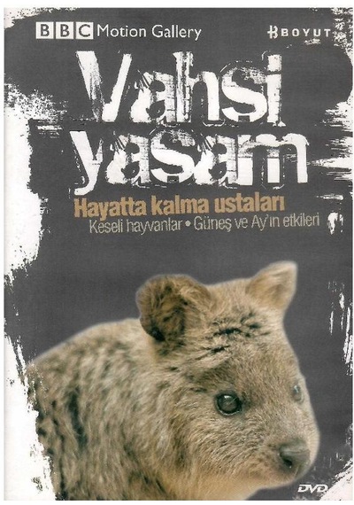 Bbc Motion Gallery - Vahşi Yaşam Hayatta Kalma Ustaları Keseli Hayvanlar Güneş Ve Ay'ın Etkileri - Dvd