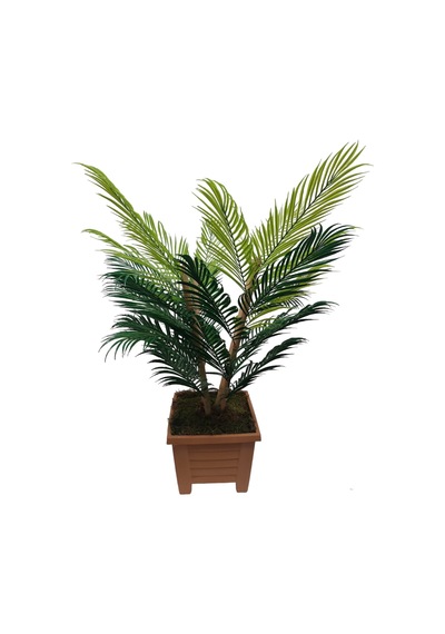 Areka 4 Bambu Gövdeli Palmiye Ağacı Kare Saksıda