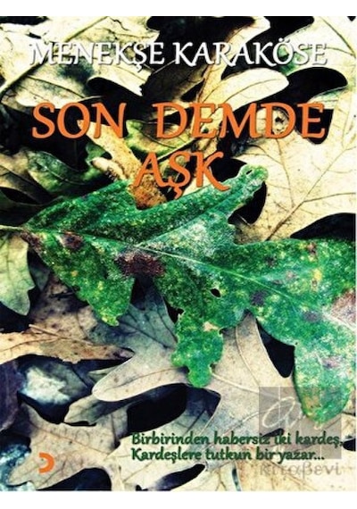 Son Demde Aşk Cinius Yayınları - Cinius Yayınları