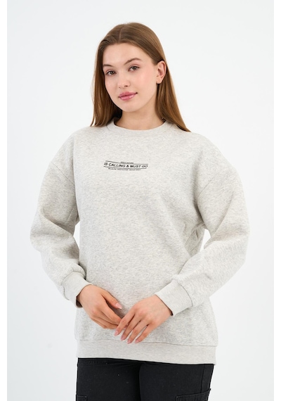 Alexander Gardi İçi Polarlı Baskı Detaylı Sweatshırt B23-37401 Gri