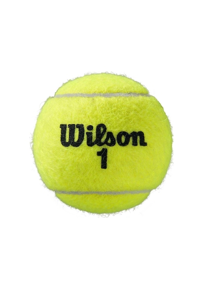 Wilson Tenis Topu Roland Garros Clay Ct 4 Ball Wrt115000