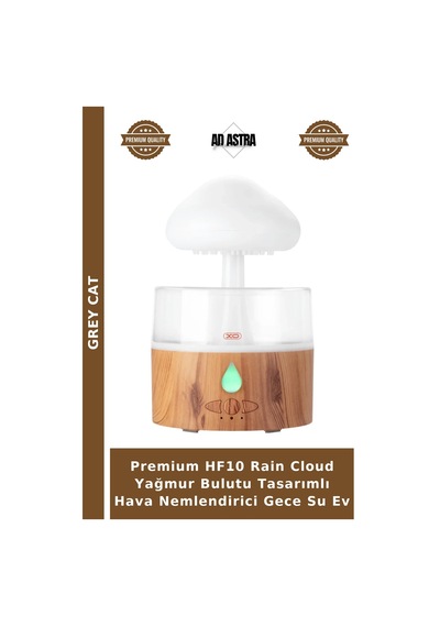 Premium Hf10 Rain Cloud Yağmur Bulutu Tasarımlı Hava Nemlendirici Gece Su Ev