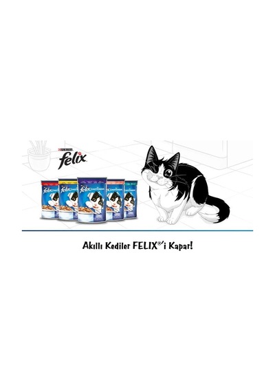 2As Tonlu Kedi Yaş 26 X 85 Gr 12 Gri