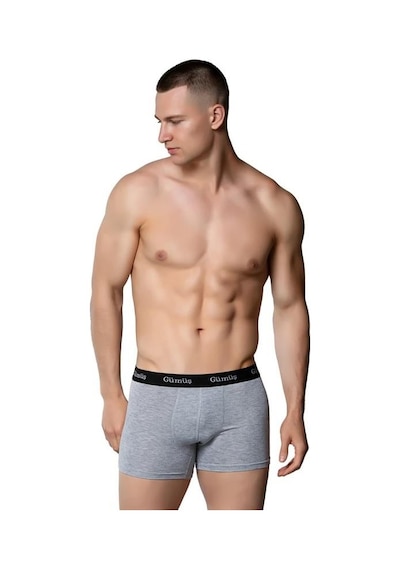 6 Adet Gümüş Erkek Renkli Likralı Spor Boxer 3074 001