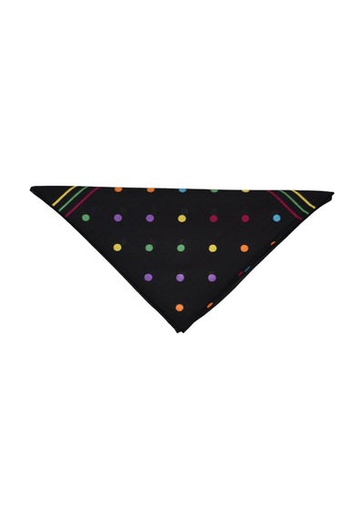 Bandana Puantiyeli Çok Renkli