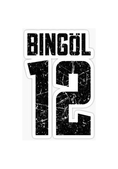 12 BİNGÖL Sticker Yapıştırma Oto Etiket 17cm