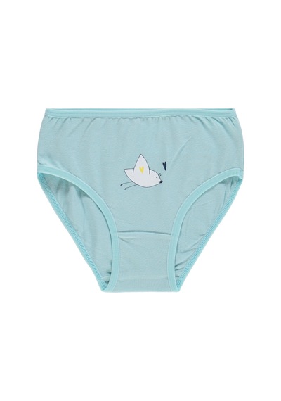 Civil Girls Kız Çocuk Cute Bird 2-12 Yaş 2'li Külot - Standart