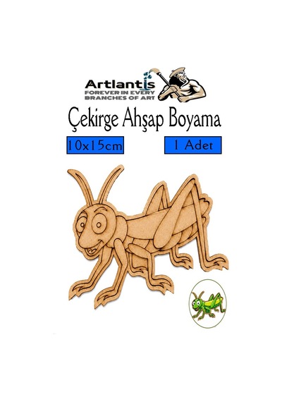 Ahşap Boyama Böcekler 1 Adet 10x15cm Boyama Böcek Figürleri Etkinlik Çocuk Gelişim Motor Beceri Kreş Anasınıfı