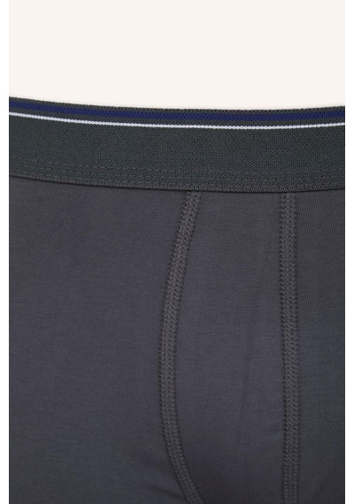 Defacto Regular Fıt 3lü Boxer E3234ax26spbe331 Mavi-be331
