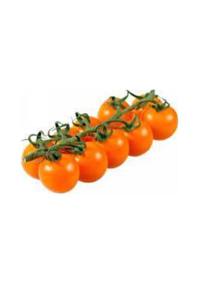 20 Adet Tohum Tropikal Nadir Turuncu Çeri Cherry Domates Tohumu Saksı Toprak Sürpriz Hediye Tohum