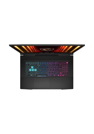 MSI Katana 17 HX B14WFK-217TRAT19 i9-14900HX 24 GB 2 TB SSD RTX5060 17.3" W11H Dizüstü Bilgisayar